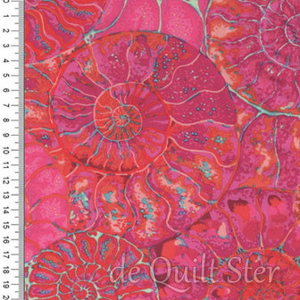 Kaffe Fassett Collective | Ammonieten Roze [PJ128]