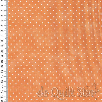 Beautifully Basics | Dots Apricot [609O4]